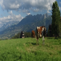 AU SOMMET se reposer dans les Tatras Zakopane